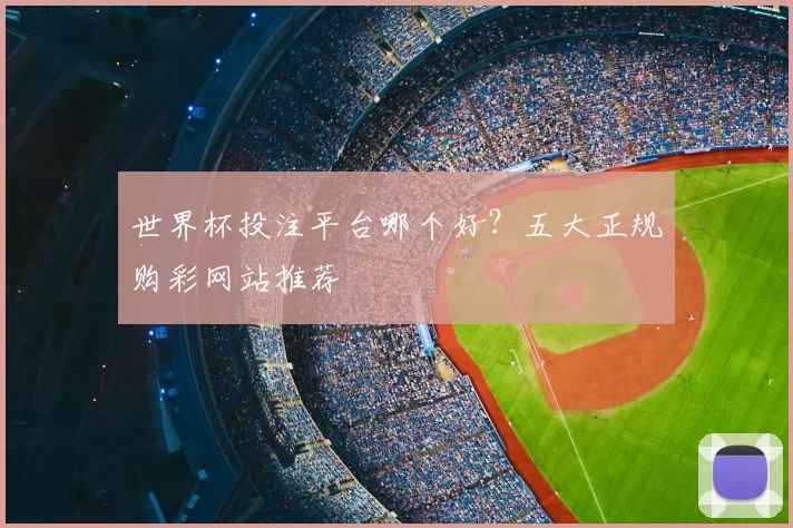 世界杯投注平台哪个好？五大正规购彩网站推荐