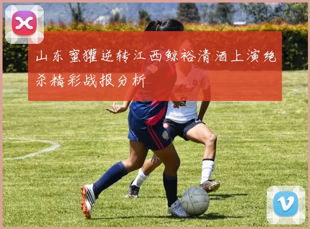 山东蜜獾逆转江西鲸裕清酒上演绝杀精彩战报分析