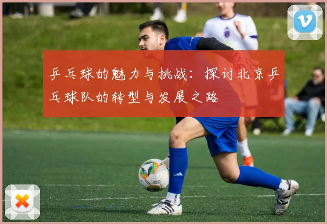 乒乓球的魅力与挑战：探讨北京乒乓球队的转型与发展之路