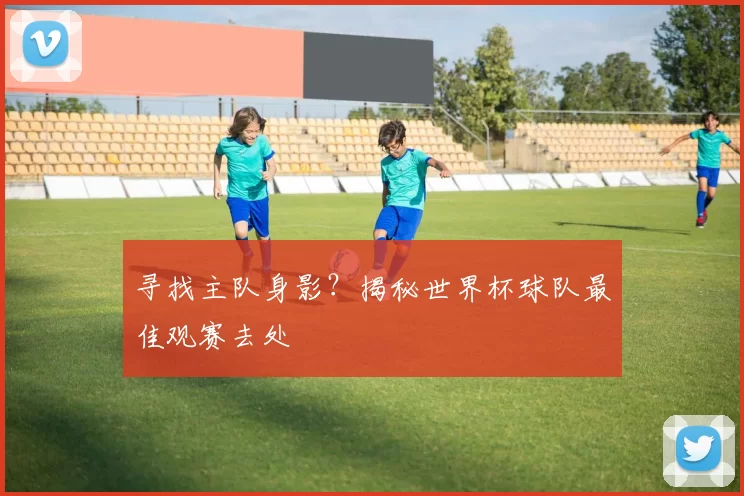 寻找主队身影?揭秘世界杯球队最佳观赛去处