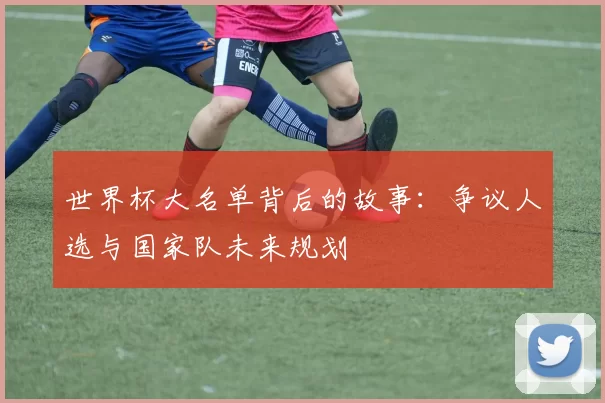 世界杯大名单背后的故事:争议人选与国家队未来规划