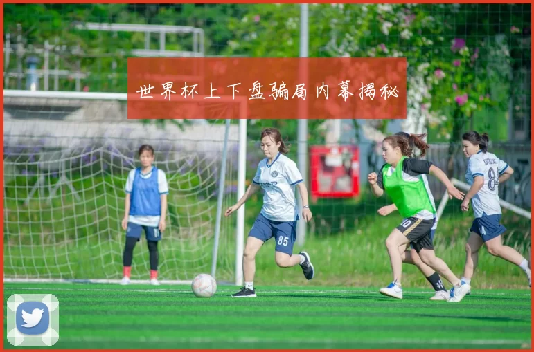 世界杯上下盘骗局内幕揭秘