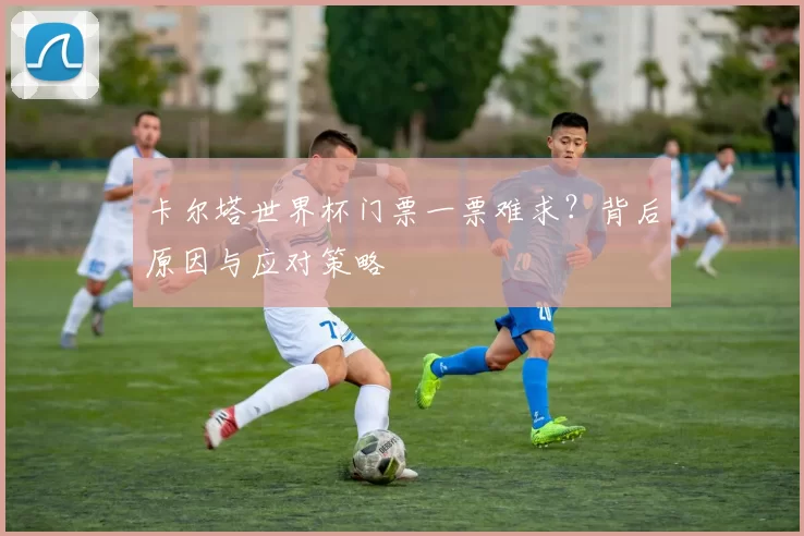 卡尔塔世界杯门票一票难求?背后原因与应对策略