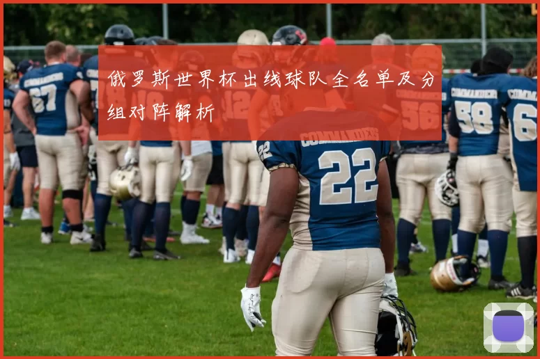 俄罗斯世界杯出线球队全名单及分组对阵解析