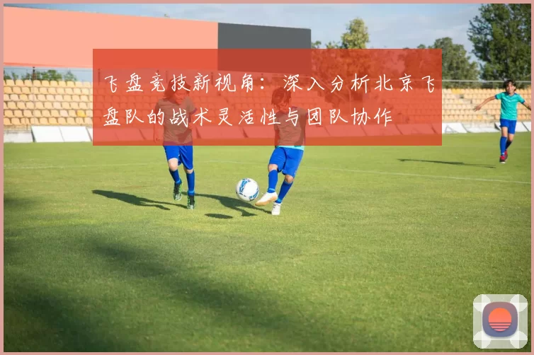 飞盘竞技新视角:深入分析北京飞盘队的战术灵活性与团队协作