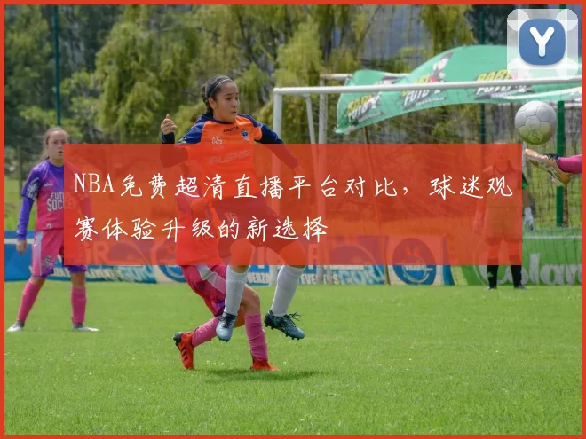 NBA免费超清直播平台对比，球迷观赛体验升级的新选择