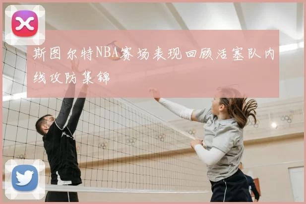 斯图尔特NBA赛场表现回顾活塞队内线攻防集锦