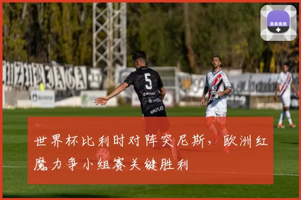 世界杯比利时对阵突尼斯,欧洲红魔力争小组赛关键胜利