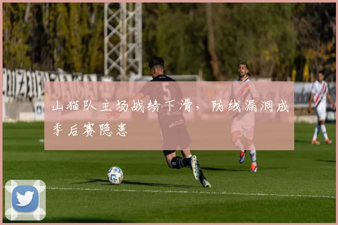 山猫队主场战绩下滑，防线漏洞成季后赛隐患