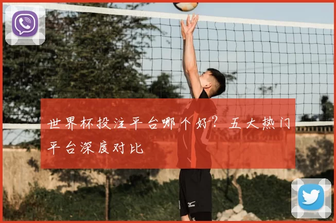 世界杯投注平台哪个好?五大热门平台深度对比