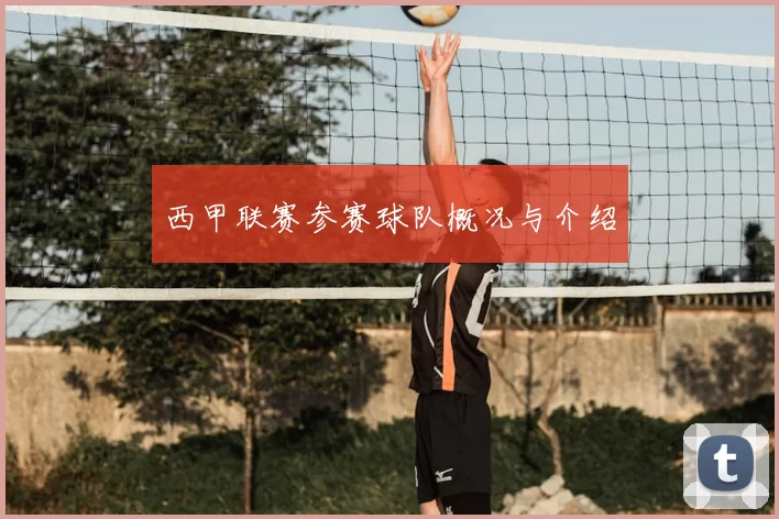 西甲联赛参赛球队概况与介绍