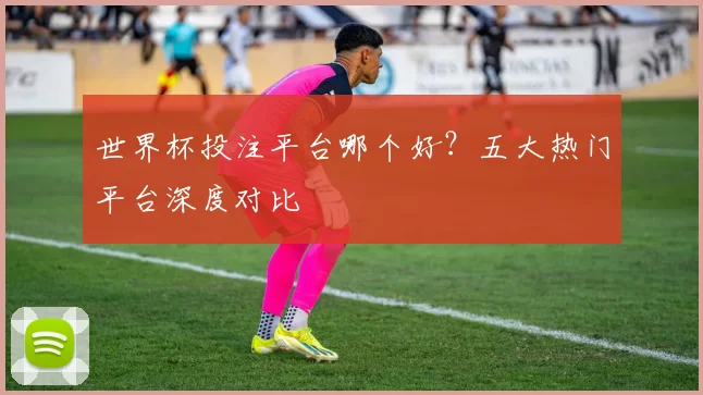 世界杯投注平台哪个好?五大热门平台深度对比